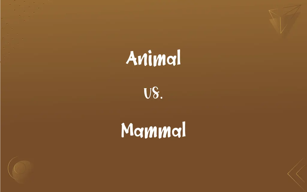 Animal vs. Mammal – Difference Wiki