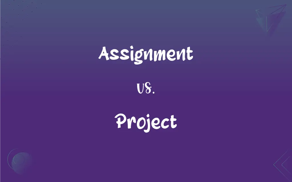 what is difference between assignment and project