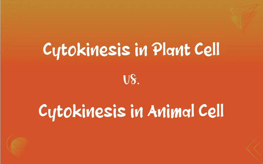 Cytokinesis in Plant Cell vs. Cytokinesis in Animal Cell – Difference Wiki