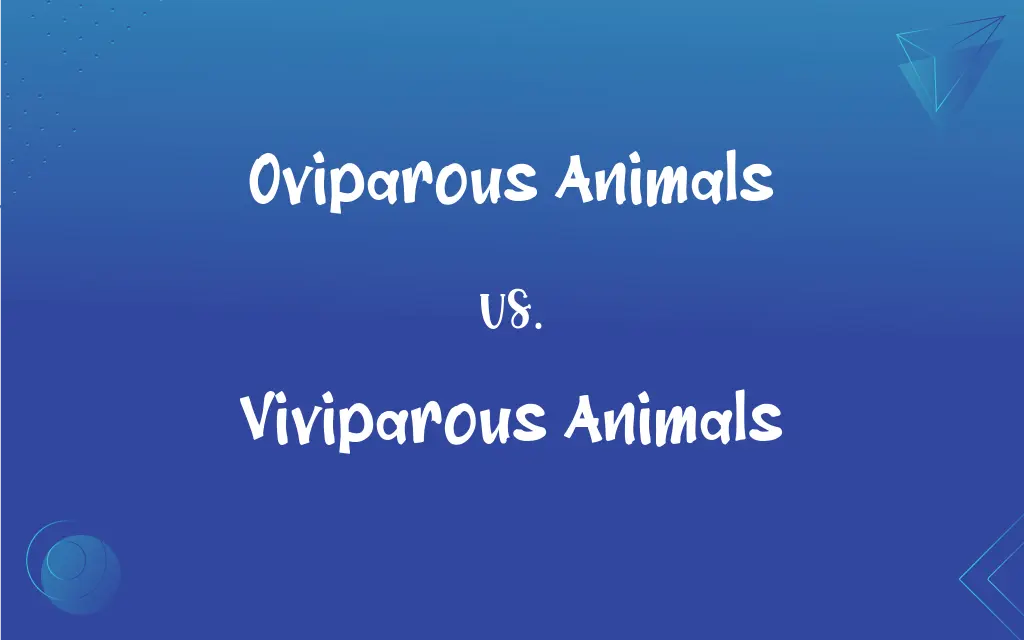 Oviparous Animals vs. Viviparous Animals – Difference Wiki