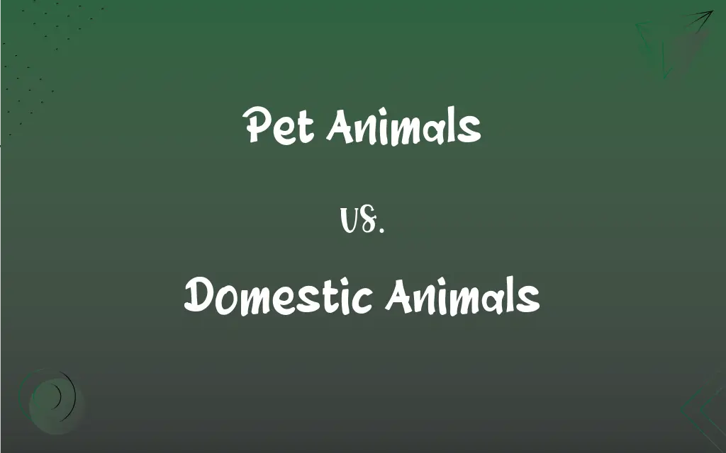 Pet Animals vs. Domestic Animals – Difference Wiki