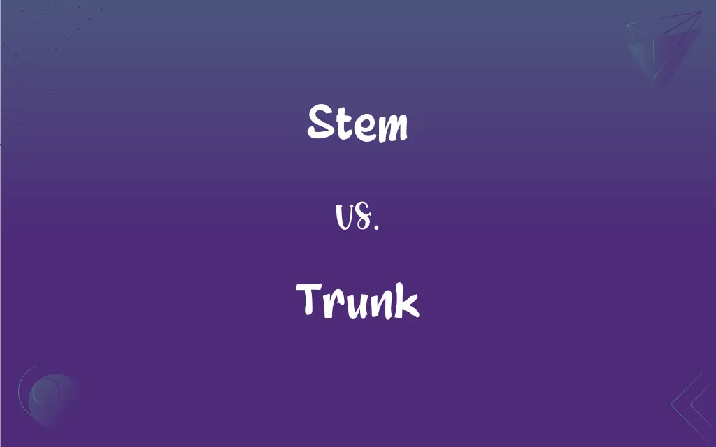 Difference Between Stem and Trunk  Compare the Difference Between